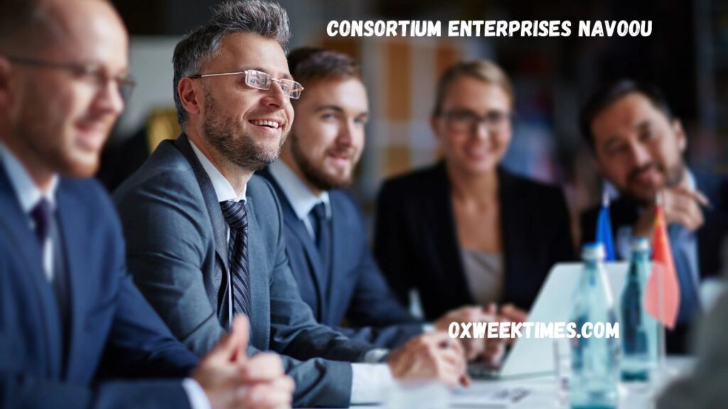 consortium enterprises navoou